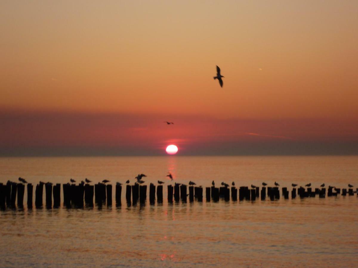 Vakantiehuis Domburg, Kindvriendelijk Do02 Εξωτερικό φωτογραφία